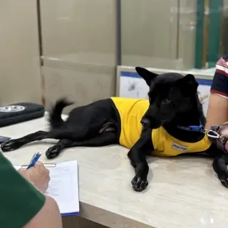 Thu Trang (Nhà Bè)