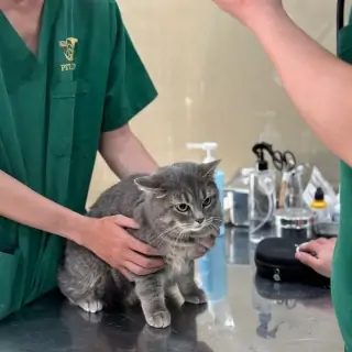 Ngọc Hân (Quận Bình Thạnh)