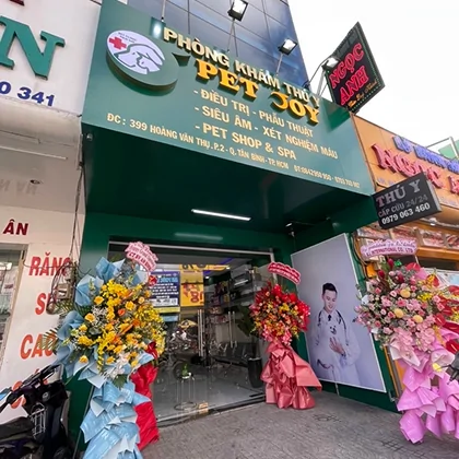 PET JOY VETERINARY HOSPITAL CN  P. TÂN SƠN HÒA