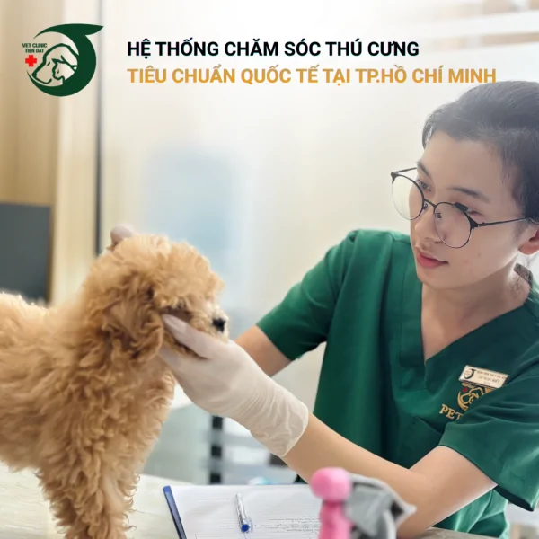 cho-sot-phai-lam-sao-cam-nang-xu-ly-an-toan-va-hieu-qua-tu-chuyen-gia