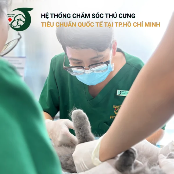 triet-san-thu-cung-loi-ich-thoi-diem-va-nhung-luu-y-1