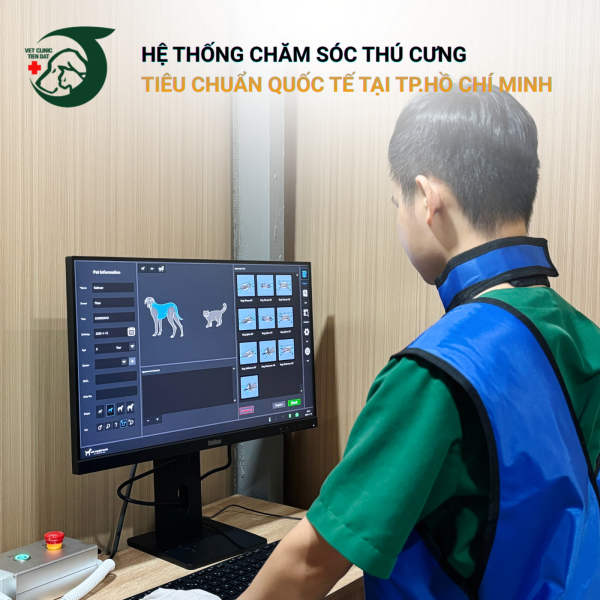 tam-soat-ung-thu-som-cho-cho-meo-tu-7-tuoi-tro-len