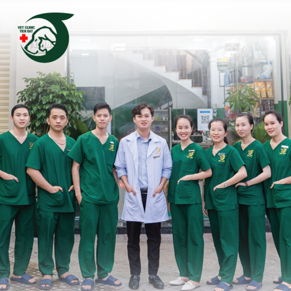 bac-si-thu-y-gioi-tan-binh-pet-joy-cap-cuu-2424