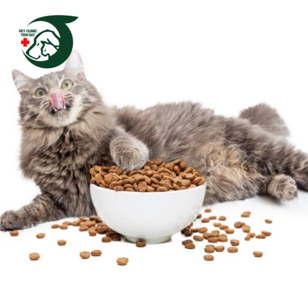 che-do-dinh-duong-cham-soc-thu-cung-sau-sinh-ma-chu-nuoi-can-dac-biet-luu-y