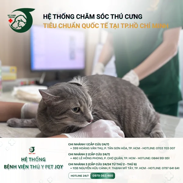 phong-benh-cho-cho-meo-tan-binh