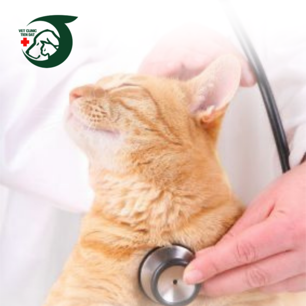 triet-san-cho-thu-cung-tat-tan-tat-nhung-dieu-can-biet-de-an-toan-va-hieu-qua