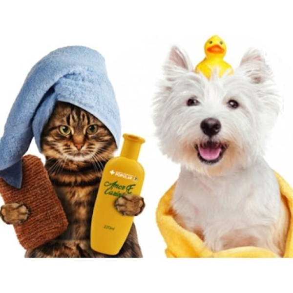 thu-y-gan-day-quan-5-co-dich-vu-grooming-chat-luong