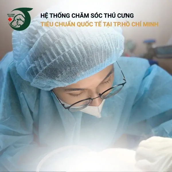 thu-y-truc-dem-tphcm
