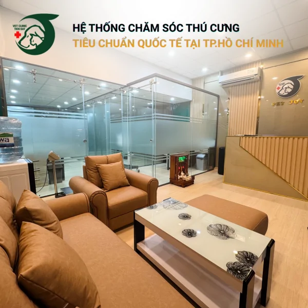 thu-y-tai-quan-5-pet-joy-hospital
