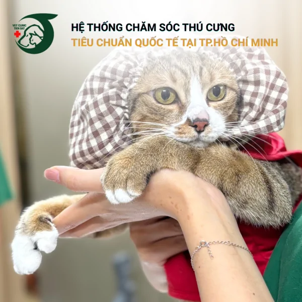 ky-sinh-trung-o-meo