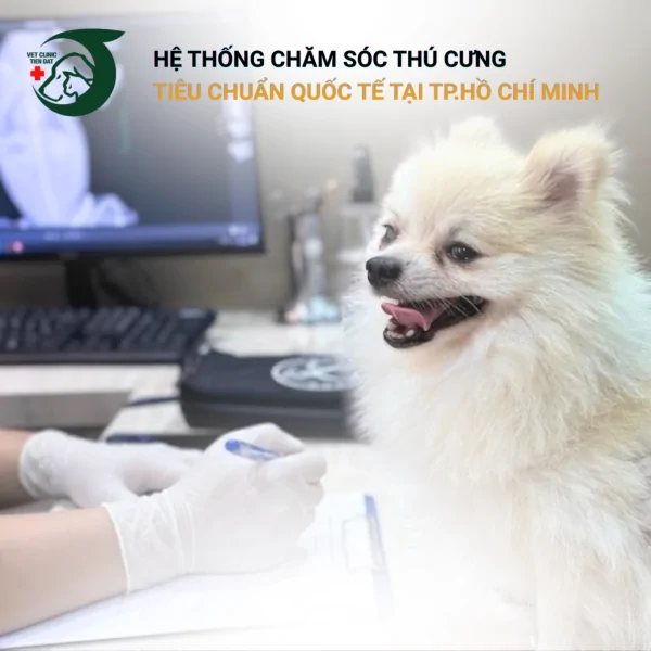 x-quang-thu-y-quan-5-kiem-tra-chan-thuong-di-vat-cho-thu-cung
