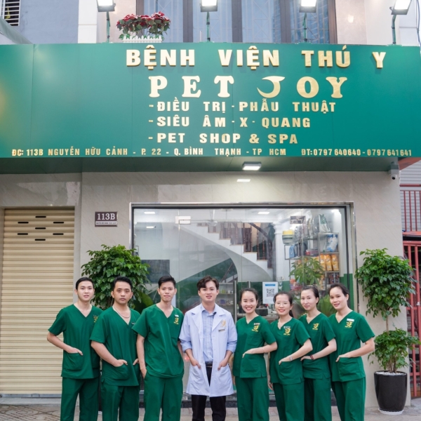 benh-vien-thu-y-tan-phu-thu-y-gan-day