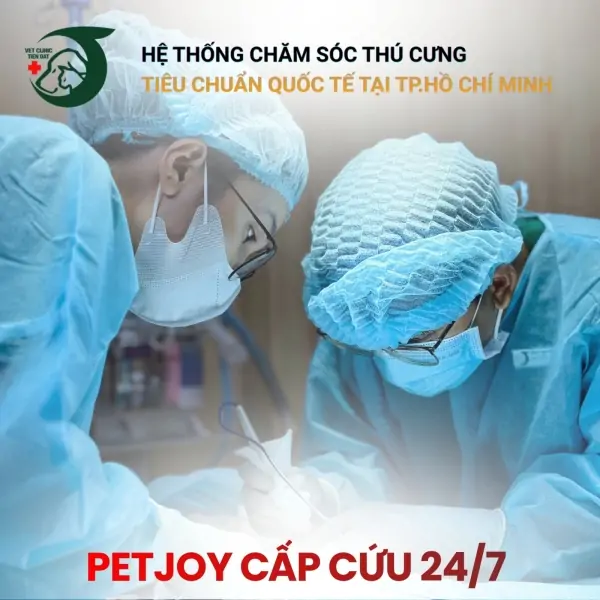 cap-cuu-thu-y-quan-5-247-pet-joy-veterinary-hospital