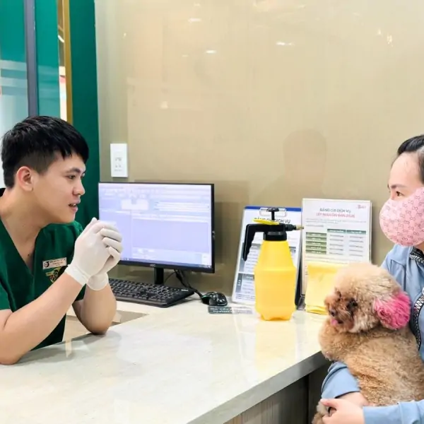 dieu-tri-benh-thu-y-xuyen-tet-247-tai-pet-joy