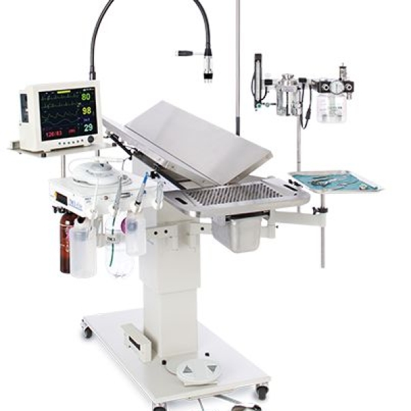 benh-vien-thu-y-chuan-quoc-te-tphcm-pet-joy-cap-cuu-2424