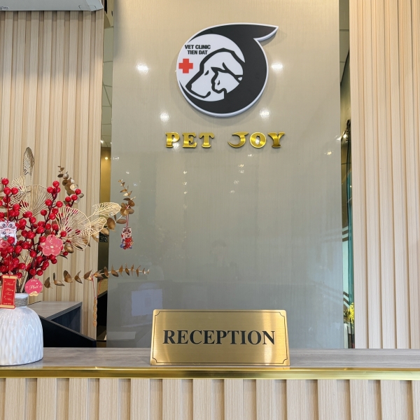 tim-phong-kham-thu-y-gan-day-uy-tin-tai-sao-pet-joy-hospital-la-lua-chon-so-1