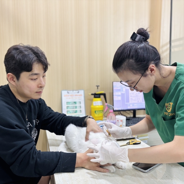 thu-y-tai-binh-thanh-dia-chi-cham-soc-thu-cung-chuyen-nghiep