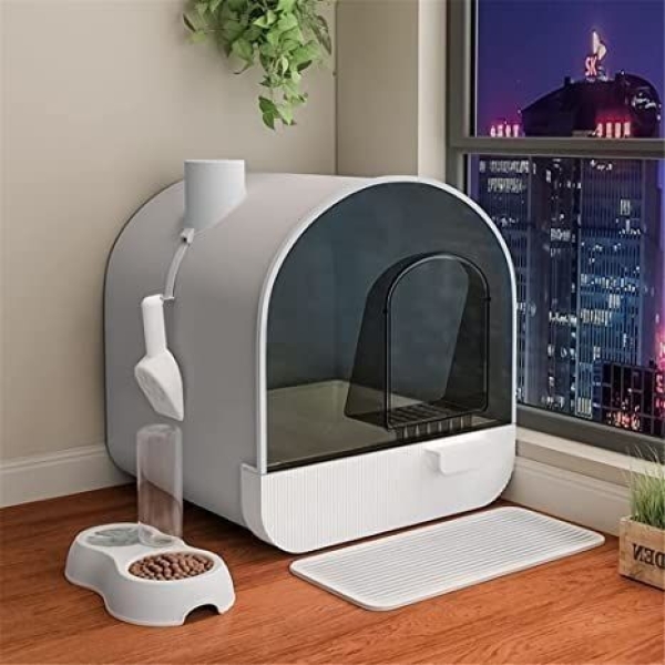 luu-chuong-dieu-tri-cho-meo-tphcm-co-so-vat-chat-cham-soc-hau-phau-chuyen-nghiep-tai-pet-joy