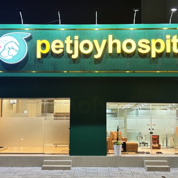 top-5-benh-vien-thu-y-tot-nhat-hien-nay-review-chi-tiet-tu-chuyen-gia