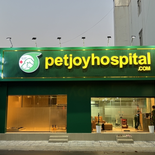 phong-kham-thu-y-gia-tot-pet-joy-hospital-giai-phap-cham-soc-thu-cung-hieu-qua-an-toan