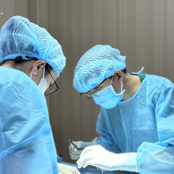 phau-thuat-thu-y-binh-thanh-phau-thuat-thu-y-gan-day