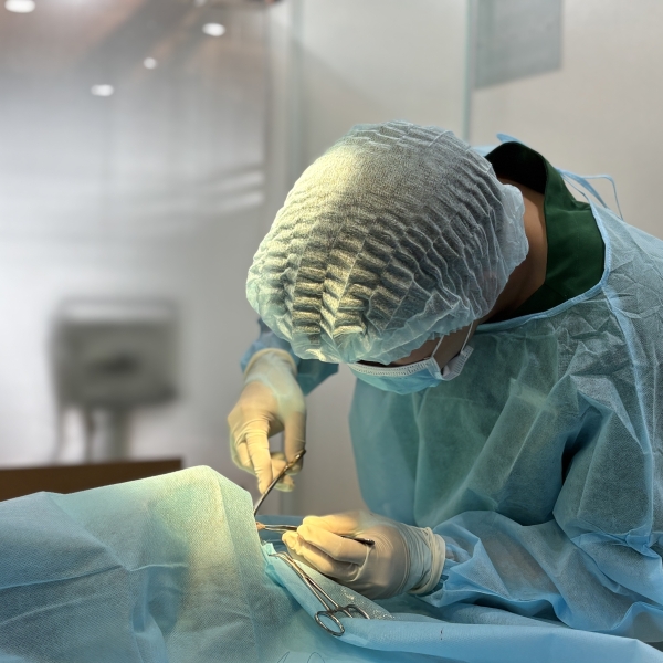 phau-thuat-thu-y-tan-binh-giai-phap-dieu-tri-chuyen-sau-cho-thu-cung