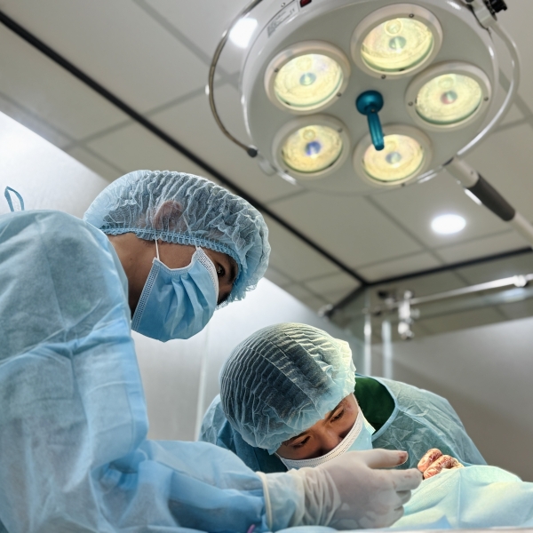 bac-si-thu-y-gioi-tan-binh-pet-joy-cap-cuu-2424