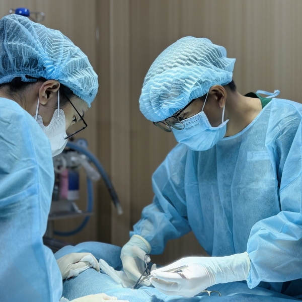 thu-y-cap-cuu-2424-quan-tan-binh-giai-phap-cuu-song-thu-cung