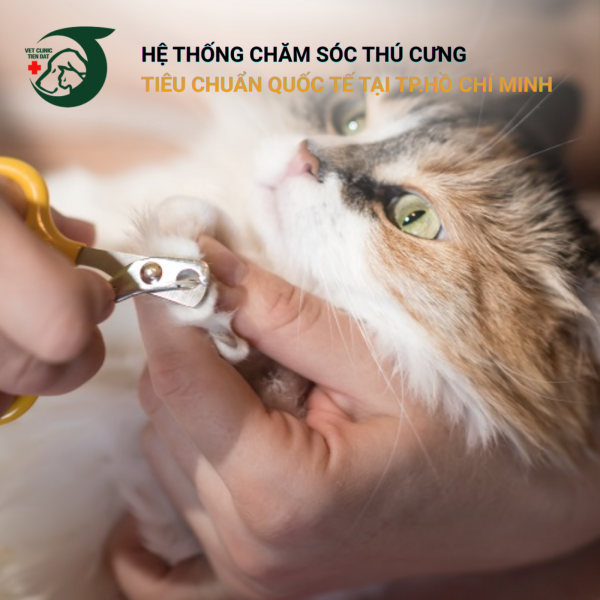 cach-cat-mong-cho-cho-meo-an-toan-khong-gay-chay-mau