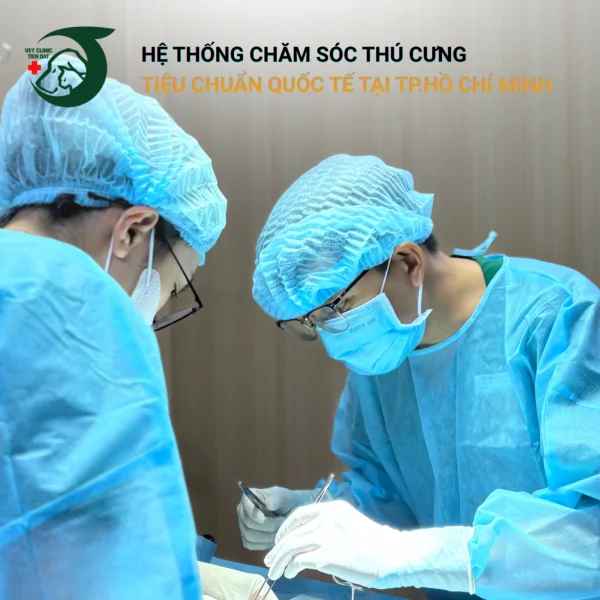 cham-soc-thu-cung-sau-phau-thuat-hau-phau-dung-cach