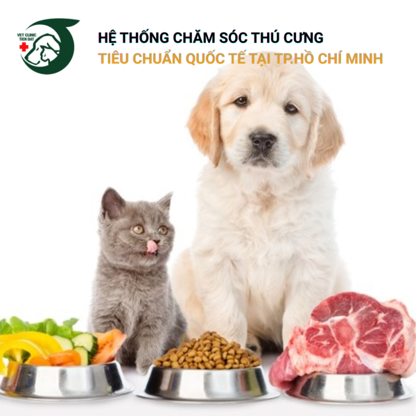 che-do-dinh-duong-cho-cho-meo-theo-tung-giai-doan