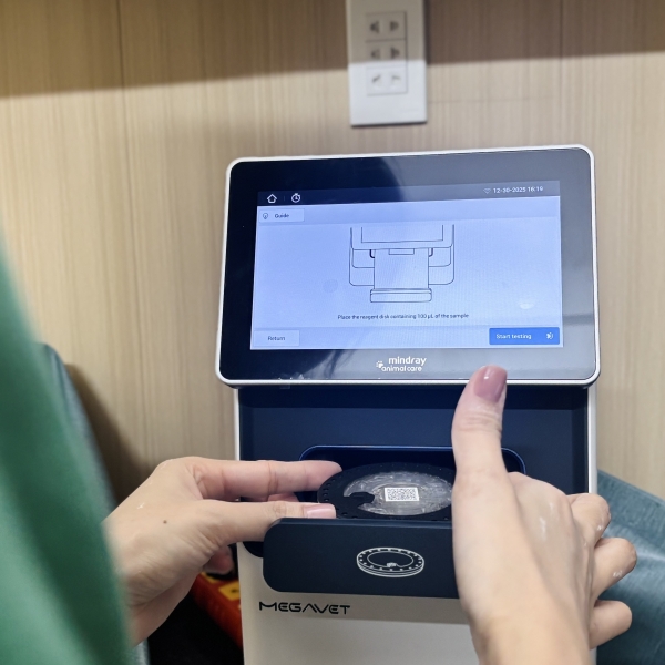 benh-vien-thu-y-le-hong-phong-cham-soc-toan-dien-cho-thu-cung-tai-tp-ho-chi-minh