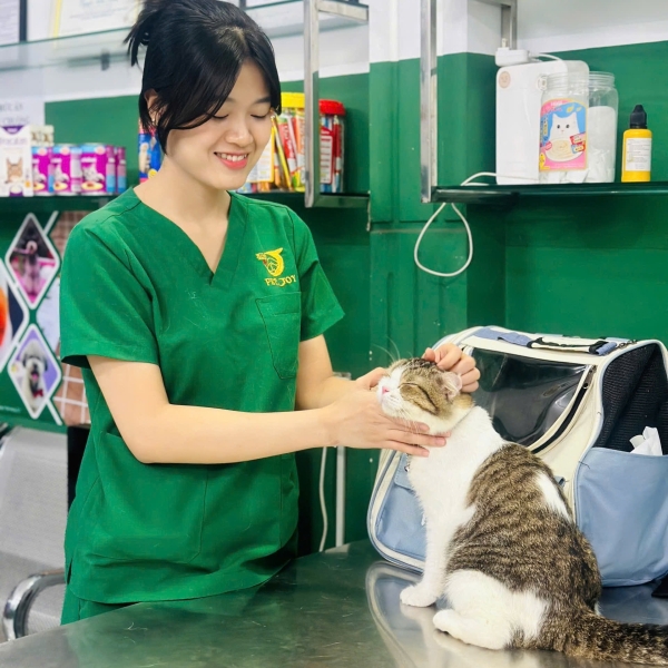 benh-vien-thu-y-quan-11-thu-y-gan-day