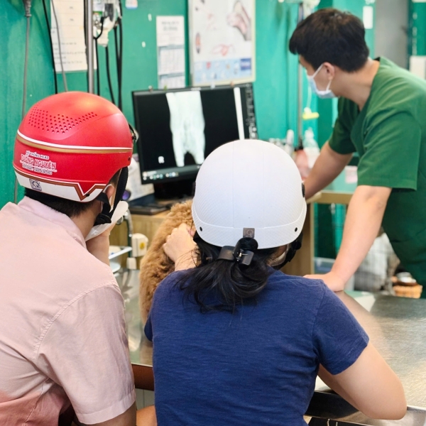 benh-vien-thu-y-quan-7-thu-y-gan-day