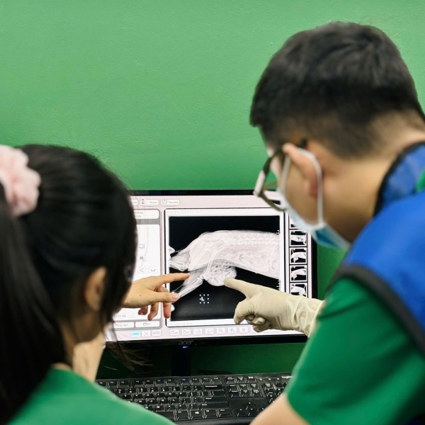 benh-vien-thu-y-binh-thanh-pet-joy-chuan-quoc-te-la-nhu-the-nao