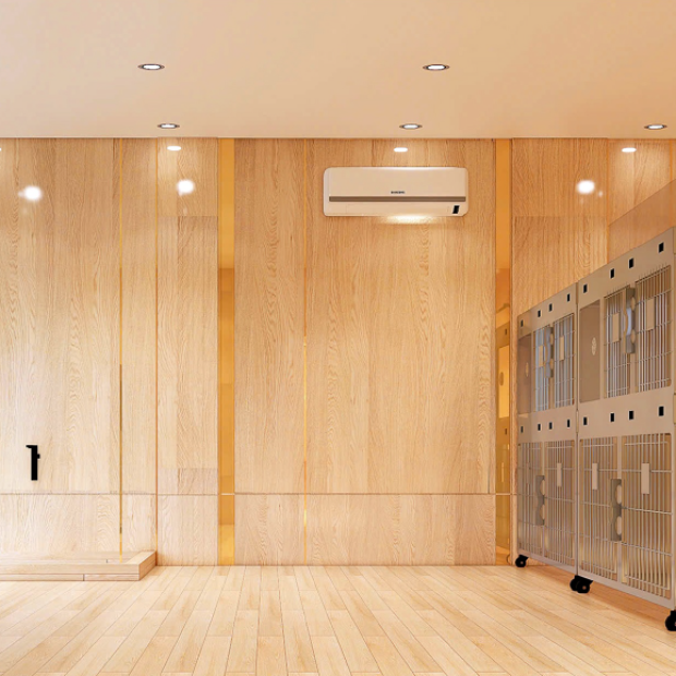 Lưu chuồng điều trị 