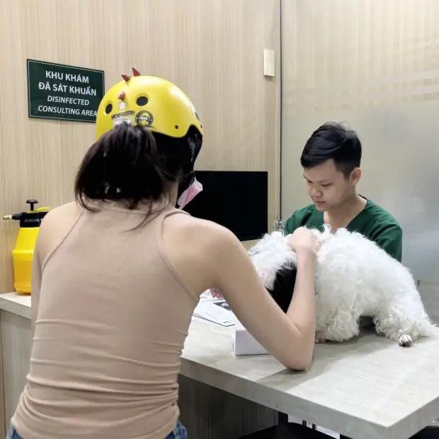 Khám & Điều trị bệnh