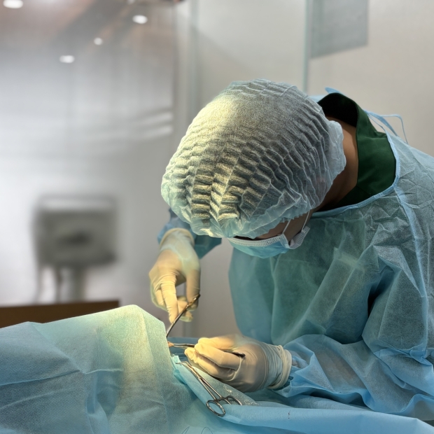 Triệt sản chó và mèo