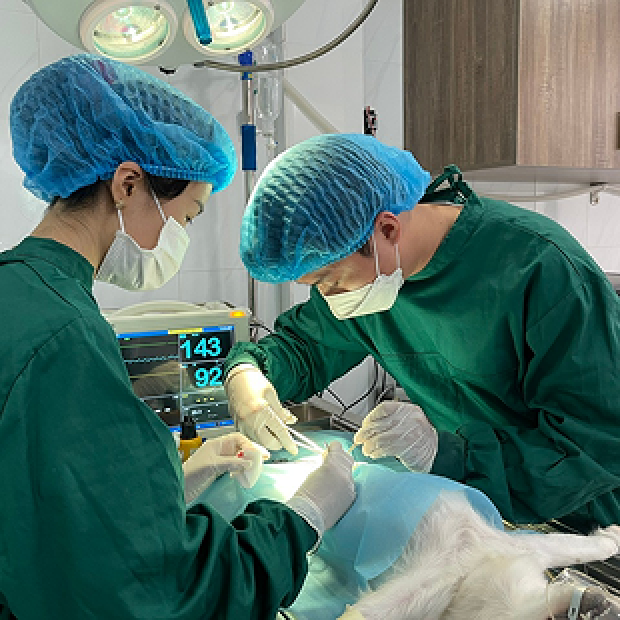 Phẫu thuật phức tạp