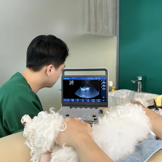 Chẩn đoán & Xét nghiệm