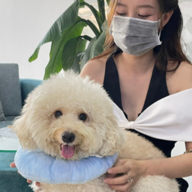 Nguyễn Trần Thanh Giang (Quận 7) 