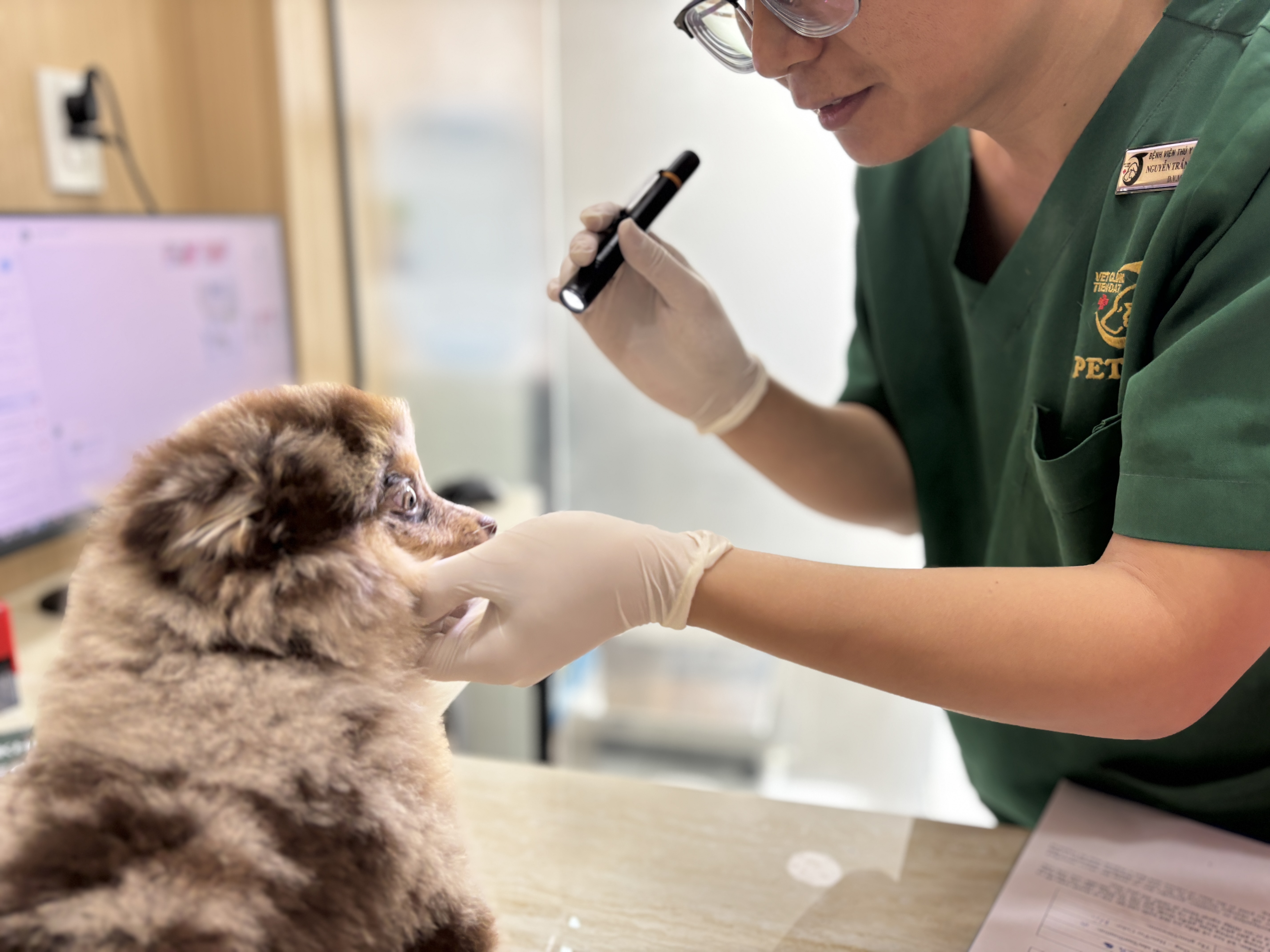Một quy tắc thực tế: Bất kỳ hành vi nào thay đổi đột ngột và kéo dài hơn một tuần đều xứng đáng được đánh giá bởi bác sĩ thú y.