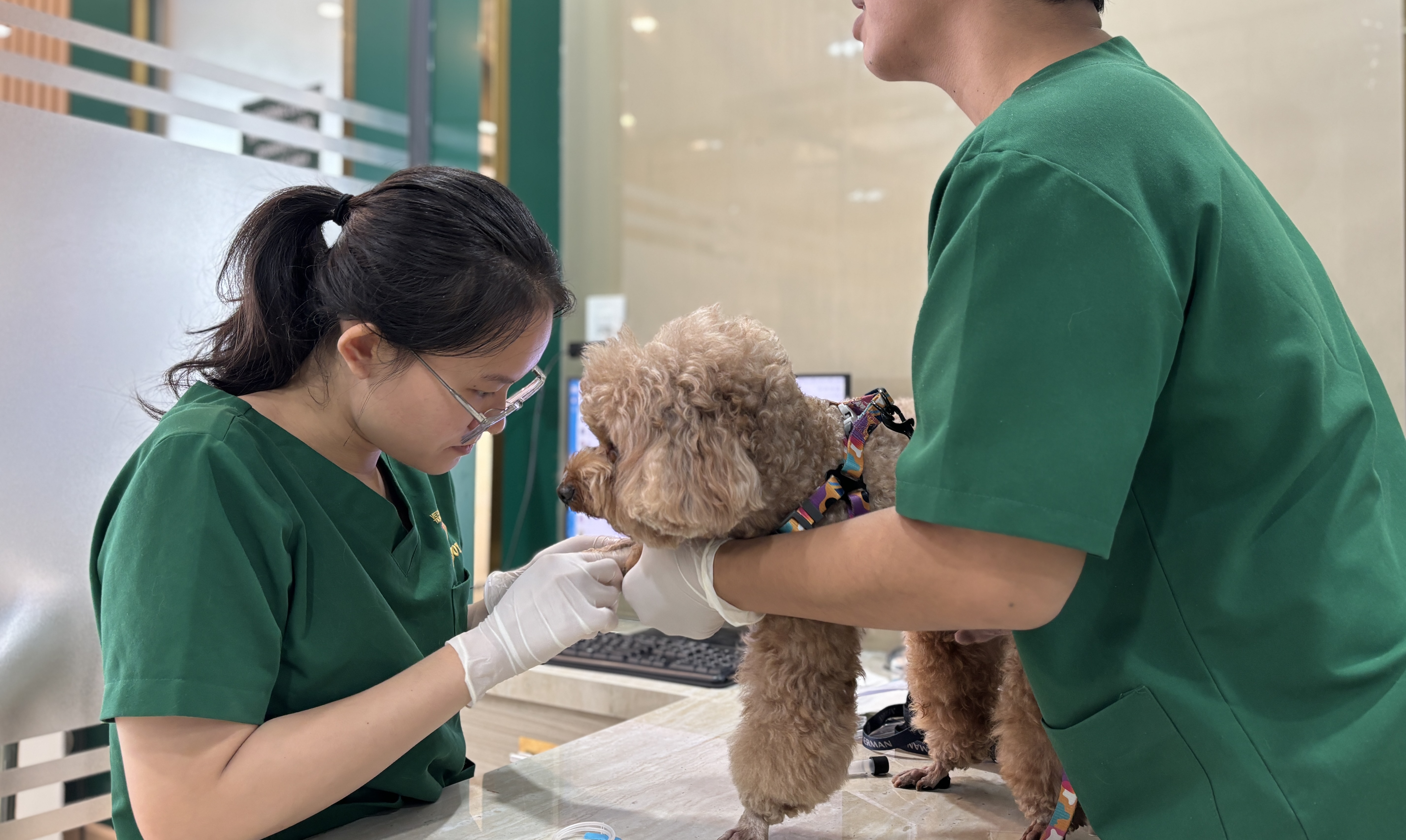 Cơ thể thú cưng luôn trung thực hơn hành vi của chúng — hãy học cách lắng nghe những gì chúng không thể nói bằng lời.