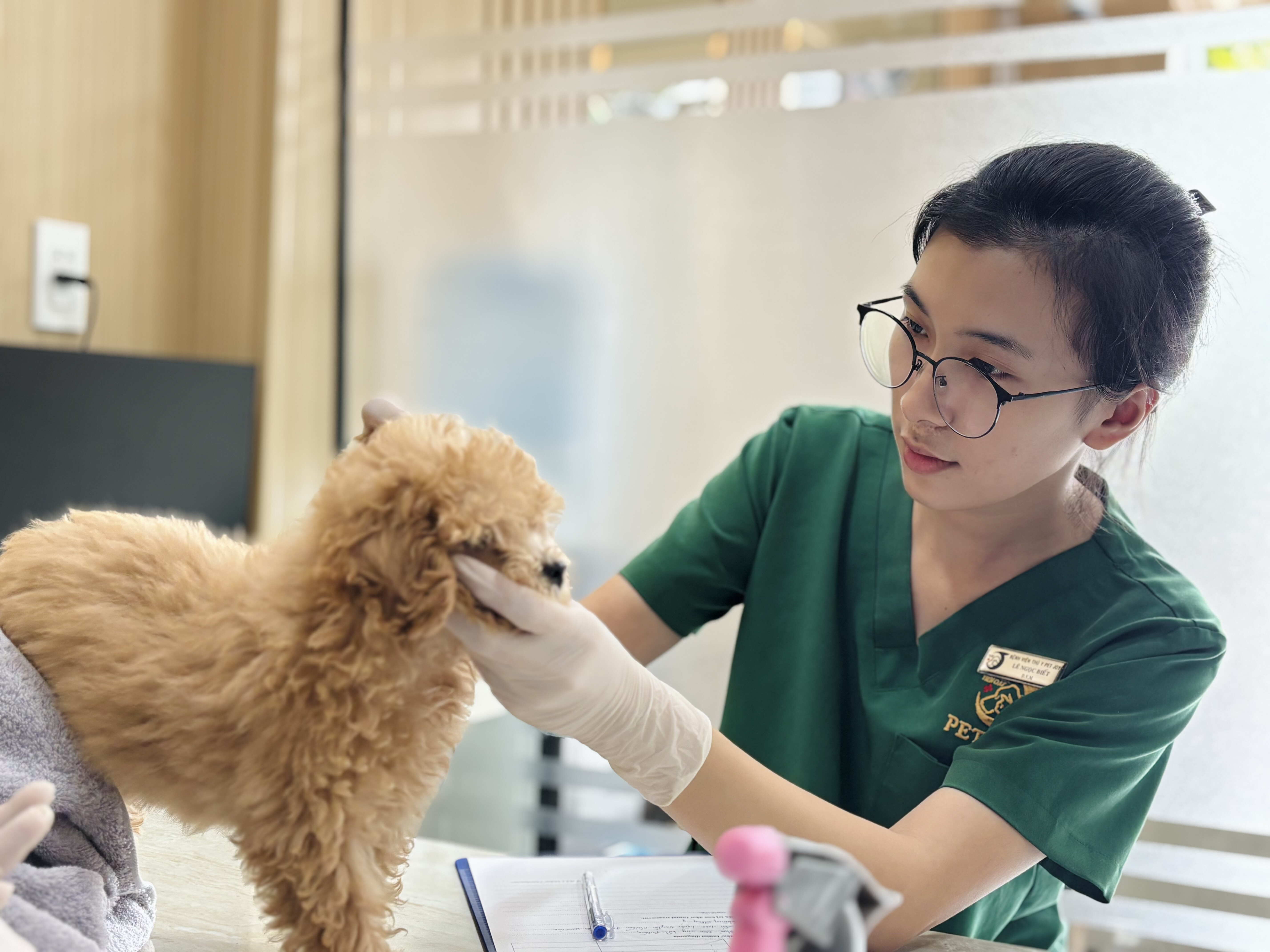 thú y tại Tân Bình