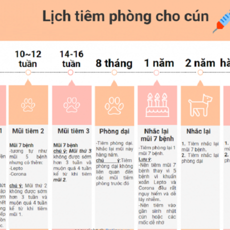Lịch Tiêm vacxin cho chó và những điều bạn cần lưu ý