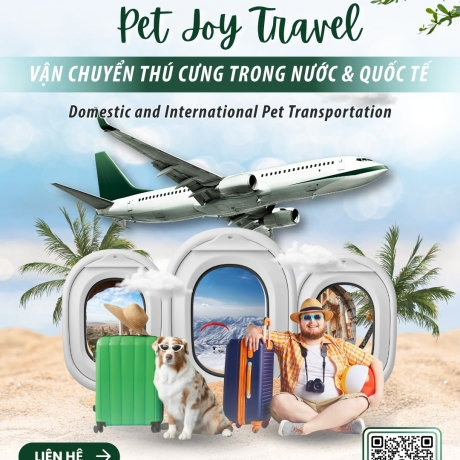 ✈️ PET JOY TRAVEL – DỊCH VỤ VẬN CHUYỂN THÚ CƯNG TRONG NƯỚC & QUỐC TẾ
