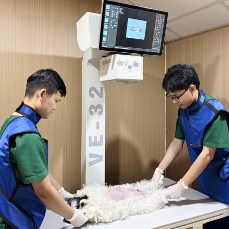 Địa chỉ uy tín cấp cứu thú y 24/24 tại TP.HCM