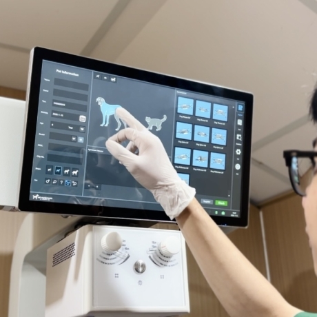 Nguyên nhân và cách điều trị sỏi bàng quang chó mèo mà các bạn cần lưu ý