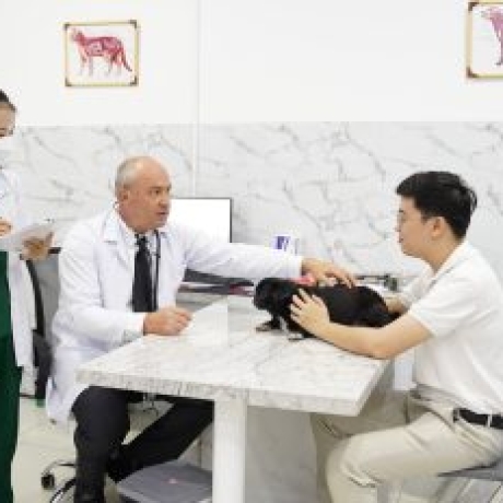 Khám Sức Khỏe định kỳ cho thú cưng | Nên Khám ở đâu tại Hcm