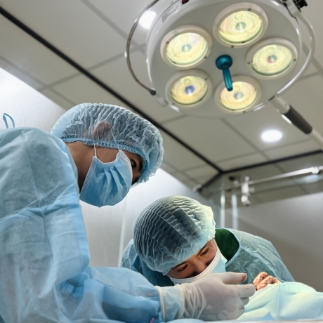 U nang biểu bì ở chó có nguy hiểm không? Phương pháp điều trị thế nào??